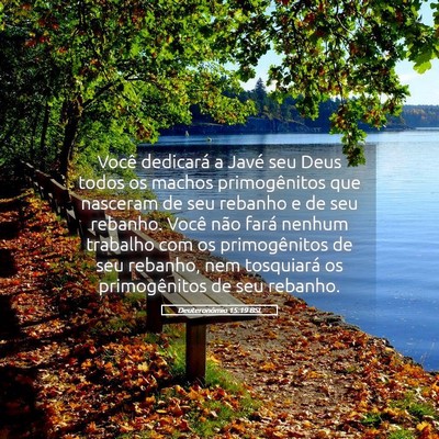 Picture 05 - Deuteronômio 15:19 BSL - Você dedicará a Javé seu Deus todos os machos - Bible Verse Picture
