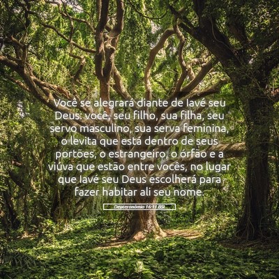 Picture 05 - Deuteronômio 16:11 BSL - Você se alegrará diante de Iavé seu Deus: - Bible Verse Picture
