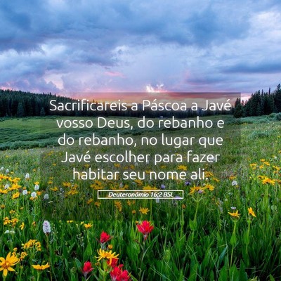 Picture 05 - Deuteronômio 16:2 BSL - Sacrificareis a Páscoa a Javé vosso Deus, do - Bible Verse Picture