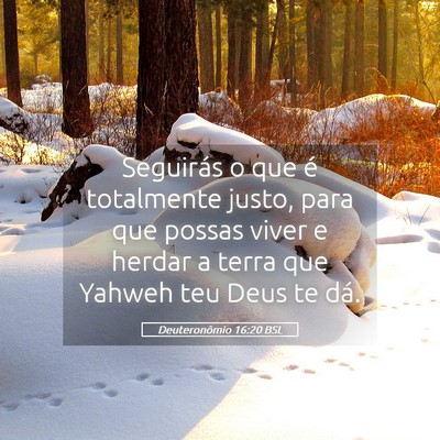 Picture 05 - Deuteronômio 16:20 BSL - Seguirás o que é totalmente justo, para que - Bible Verse Picture