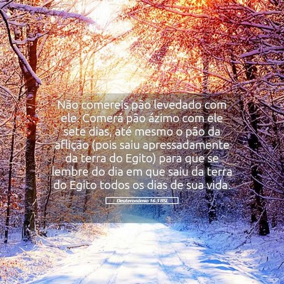Picture 05 - Deuteronômio 16:3 BSL - Não comereis pão levedado com ele. Comerá pão - Bible Verse Picture