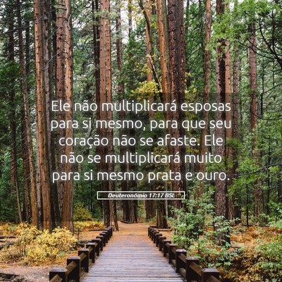 Picture 05 - Deuteronômio 17:17 BSL - Ele não multiplicará esposas para si mesmo, - Bible Verse Picture