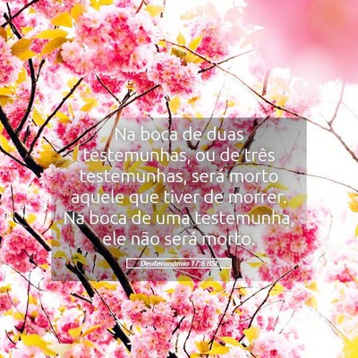 Picture 05 - Deuteronômio 17:6 BSL - Na boca de duas testemunhas, ou de três - Bible Verse Picture
