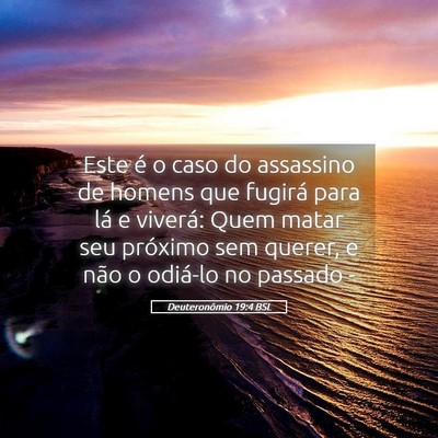 Picture 05 - Deuteronômio 19:4 BSL - Este é o caso do assassino de homens que fugirá - Bible Verse Picture