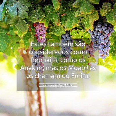 Picture 05 - Deuteronômio 2:11 BSL - Estes também são considerados como Rephaim, - Bible Verse Picture