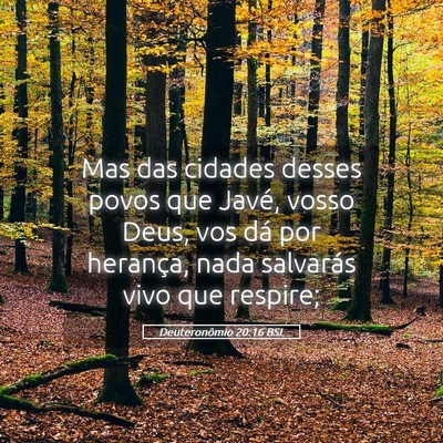 Picture 05 - Deuteronômio 20:16 BSL - Mas das cidades desses povos que Javé, vosso - Bible Verse Picture