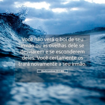 Picture 05 - Deuteronômio 22:1 BSL - Você não verá o boi de seu irmão ou as - Bible Verse Picture