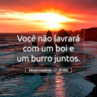 Picture 05 - Deuteronômio 22:10 BSL - Você não lavrará com um boi e um burro - Bible Verse Picture