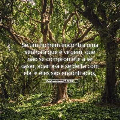 Picture 05 - Deuteronômio 22:28 BSL - Se um homem encontra uma senhora que é virgem, - Bible Verse Picture