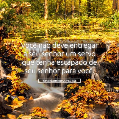 Picture 05 - Deuteronômio 23:15 BSL - Você não deve entregar a seu senhor um servo - Bible Verse Picture