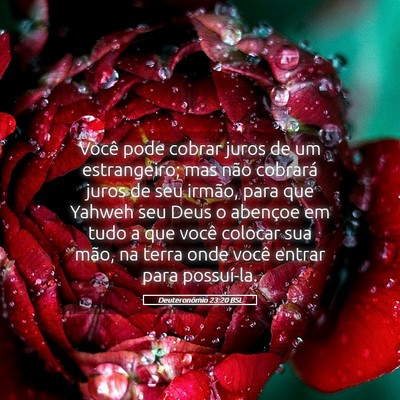 Picture 05 - Deuteronômio 23:20 BSL - Você pode cobrar juros de um estrangeiro; mas - Bible Verse Picture