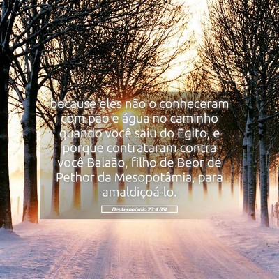 Picture 05 - Deuteronômio 23:4 BSL - because eles não o conheceram com pão e água - Bible Verse Picture