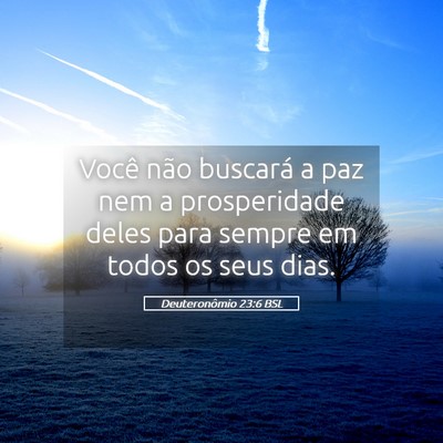 Picture 05 - Deuteronômio 23:6 BSL - Você não buscará a paz nem a prosperidade - Bible Verse Picture