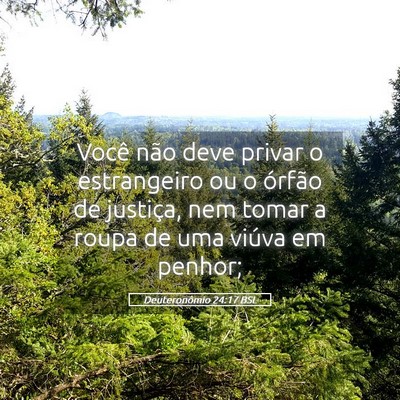 Picture 05 - Deuteronômio 24:17 BSL - Você não deve privar o estrangeiro ou o órfão - Bible Verse Picture