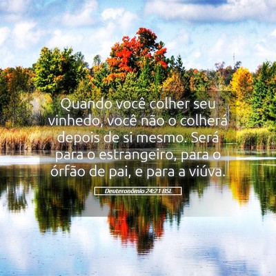Picture 05 - Deuteronômio 24:21 BSL - Quando você colher seu vinhedo, você não o - Bible Verse Picture