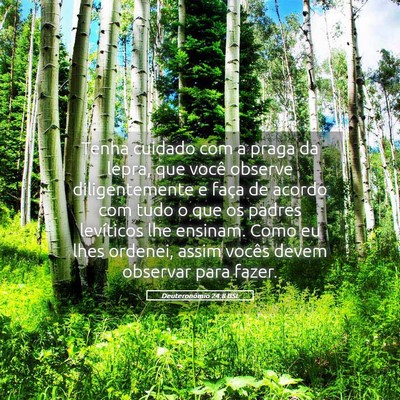 Picture 05 - Deuteronômio 24:8 BSL - Tenha cuidado com a praga da lepra, que você - Bible Verse Picture