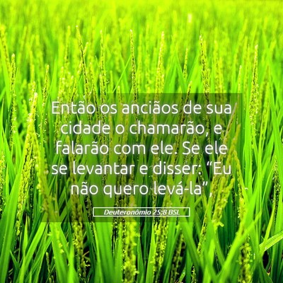 Picture 05 - Deuteronômio 25:8 BSL - Então os anciãos de sua cidade o chamarão, e - Bible Verse Picture