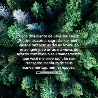 Picture 05 - Deuteronômio 26:13 BSL - Você dirá diante de Javé seu Deus: “Eu tirei - Bible Verse Picture