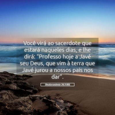 Picture 05 - Deuteronômio 26:3 BSL - Você virá ao sacerdote que estará naqueles - Bible Verse Picture