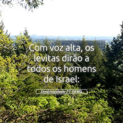 Picture 05 - Deuteronômio 27:14 BSL - Com voz alta, os levitas dirão a todos os homens - Bible Verse Picture