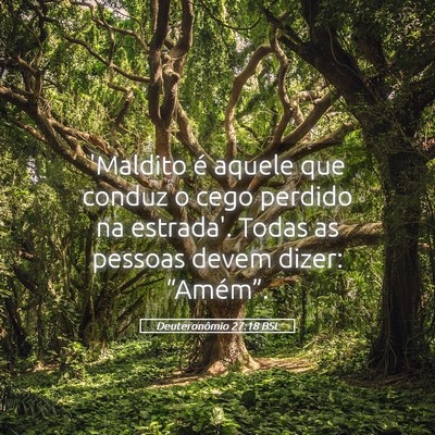 Picture 05 - Deuteronômio 27:18 BSL - 'Maldito é aquele que conduz o cego perdido na - Bible Verse Picture
