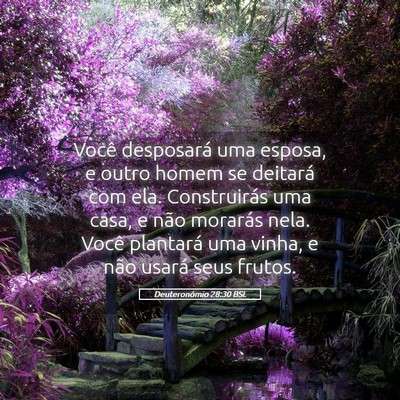 Picture 05 - Deuteronômio 28:30 BSL - Você desposará uma esposa, e outro homem se - Bible Verse Picture