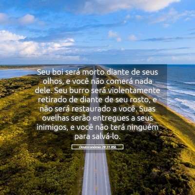 Picture 05 - Deuteronômio 28:31 BSL - Seu boi será morto diante de seus olhos, e você - Bible Verse Picture