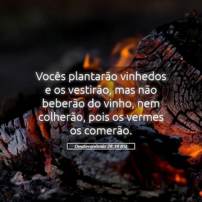 Picture 05 - Deuteronômio 28:39 BSL - Vocês plantarão vinhedos e os vestirão, mas - Bible Verse Picture