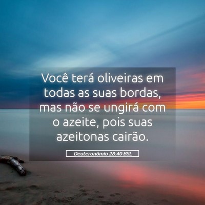 Picture 05 - Deuteronômio 28:40 BSL - Você terá oliveiras em todas as suas bordas, - Bible Verse Picture