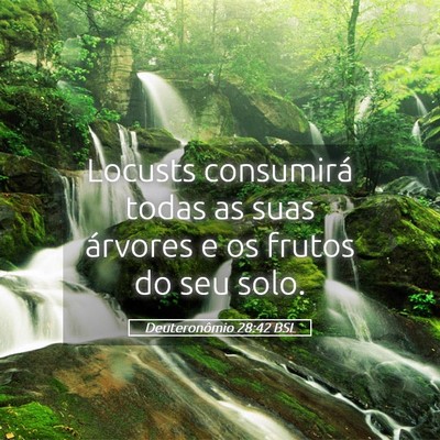 Picture 05 - Deuteronômio 28:42 BSL - Locusts consumirá todas as suas árvores e os - Bible Verse Picture