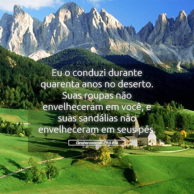 Picture 05 - Deuteronômio 29:5 BSL - Eu o conduzi durante quarenta anos no deserto. - Bible Verse Picture