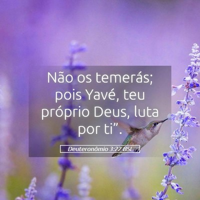Picture 05 - Deuteronômio 3:22 BSL - Não os temerás; pois Yavé, teu próprio Deus, - Bible Verse Picture