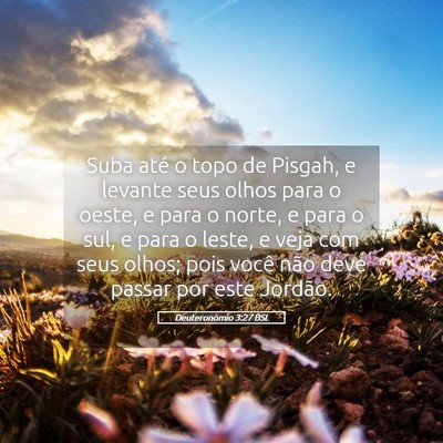 Picture 05 - Deuteronômio 3:27 BSL - Suba até o topo de Pisgah, e levante seus olhos - Bible Verse Picture