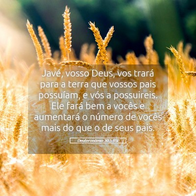 Picture 05 - Deuteronômio 30:5 BSL - Javé, vosso Deus, vos trará para a terra que - Bible Verse Picture