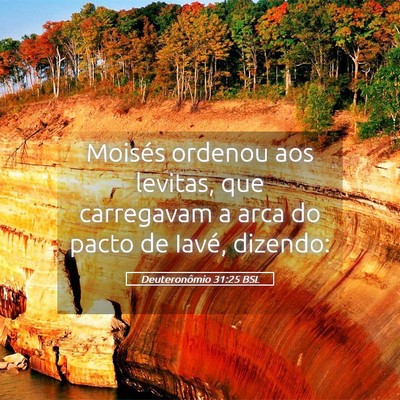 Picture 05 - Deuteronômio 31:25 BSL - Moisés ordenou aos levitas, que carregavam a - Bible Verse Picture