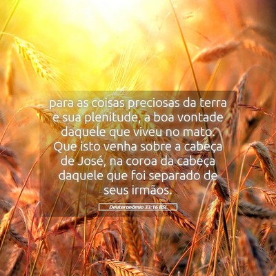 Picture 05 - Deuteronômio 33:16 BSL - para as coisas preciosas da terra e sua - Bible Verse Picture