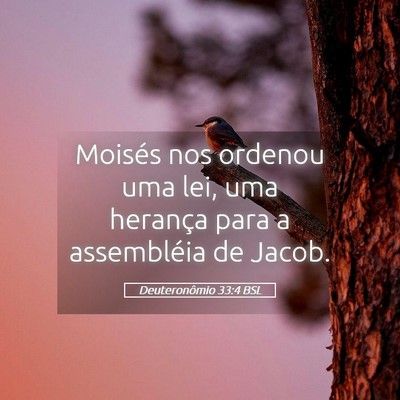 Picture 05 - Deuteronômio 33:4 BSL - Moisés nos ordenou uma lei, uma herança para a - Bible Verse Picture