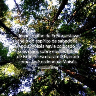 Picture 05 - Deuteronômio 34:9 BSL - Josué, o filho de Freira, estava cheio do - Bible Verse Picture