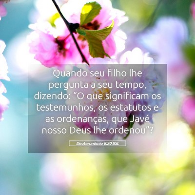 Picture 05 - Deuteronômio 6:20 BSL - Quando seu filho lhe pergunta a seu tempo, - Bible Verse Picture