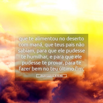 Picture 05 - Deuteronômio 8:16 BSL - que te alimentou no deserto com maná, que teus - Bible Verse Picture