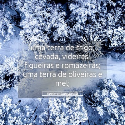 Picture 05 - Deuteronômio 8:8 BSL - uma terra de trigo, cevada, videiras, figueiras e - Bible Verse Picture