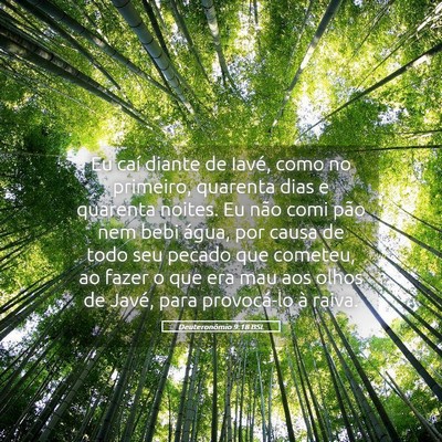 Picture 05 - Deuteronômio 9:18 BSL - Eu caí diante de Iavé, como no primeiro, - Bible Verse Picture
