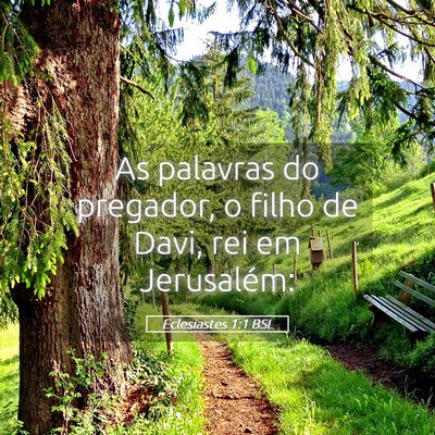 Picture 05 - Eclesiastes 1:1 BSL - As palavras do pregador, o filho de Davi, rei em - Bible Verse Picture