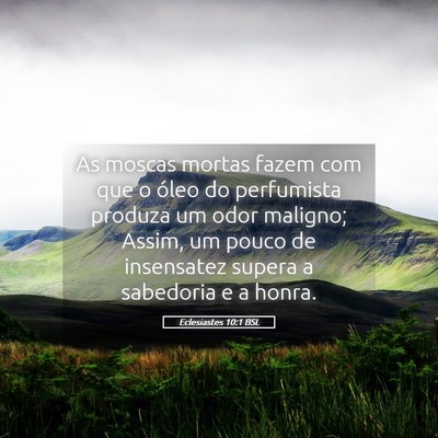 Picture 05 - Eclesiastes 10:1 BSL - As moscas mortas fazem com que o óleo do - Bible Verse Picture