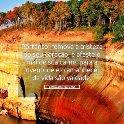 Picture 05 - Eclesiastes 11:10 BSL - Portanto, remova a tristeza do seu coração, e - Bible Verse Picture