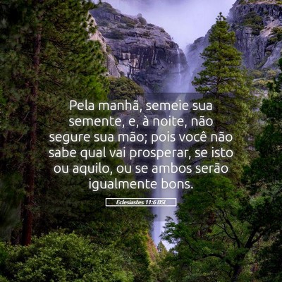Picture 05 - Eclesiastes 11:6 BSL - Pela manhã, semeie sua semente, e, à noite, - Bible Verse Picture