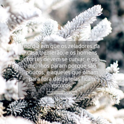 Picture 05 - Eclesiastes 12:3 BSL - no dia em que os zeladores da casa tremerão, e - Bible Verse Picture