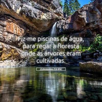 Picture 05 - Eclesiastes 2:6 BSL - Fiz-me piscinas de água, para regar a floresta - Bible Verse Picture