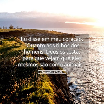 Picture 05 - Eclesiastes 3:18 BSL - Eu disse em meu coração: “Quanto aos filhos - Bible Verse Picture