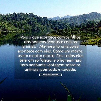Picture 05 - Eclesiastes 3:19 BSL - Pois o que acontece com os filhos dos homens - Bible Verse Picture